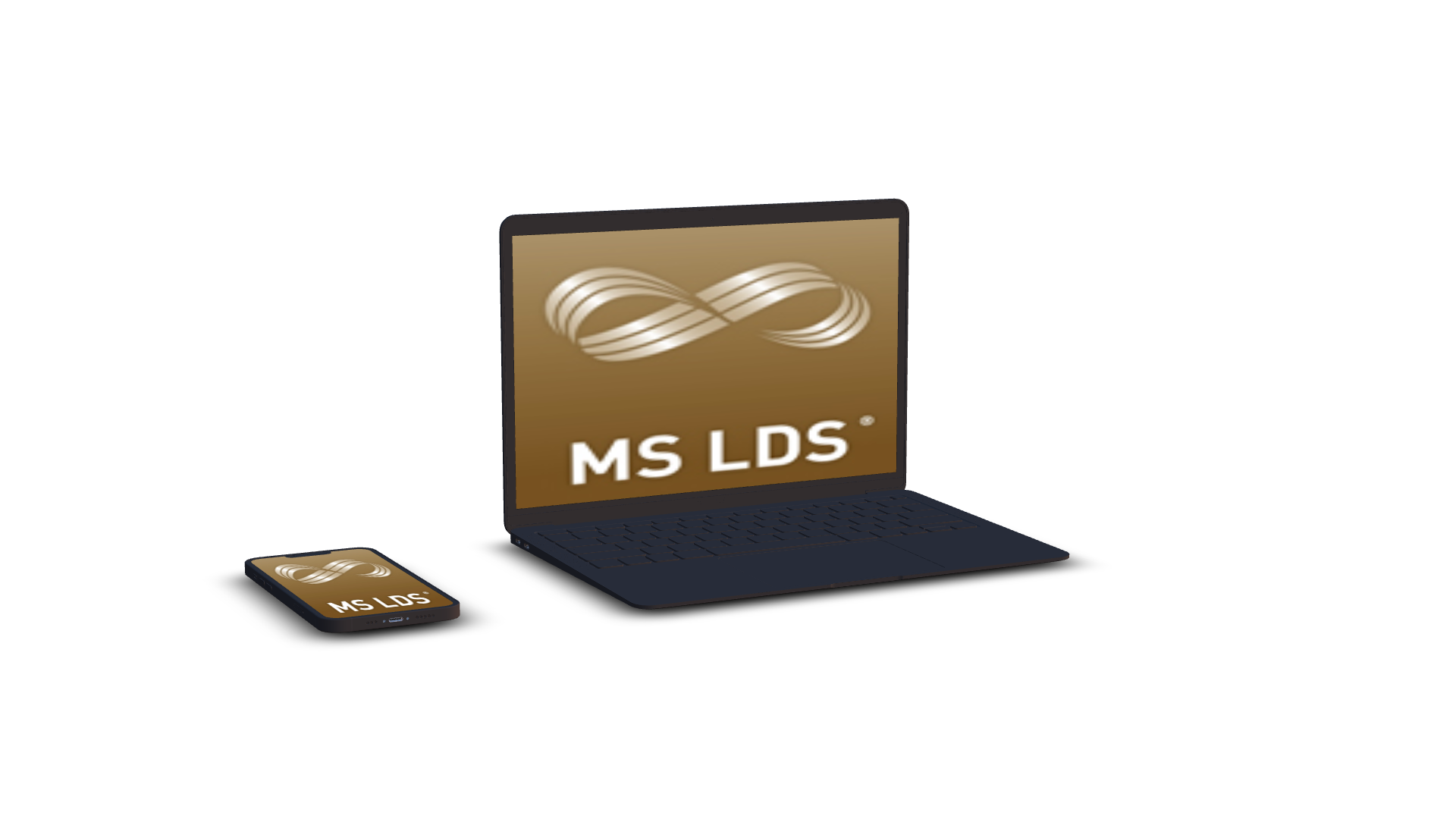 MS LDS, MS QF GmbH, Qualitätsmanagement Software, Prozessmanagement Software, MS ADS, MS MDS, Zertifizierung Software, 